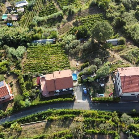 أركولا In Vino Veritas المظهر الخارجي الصورة