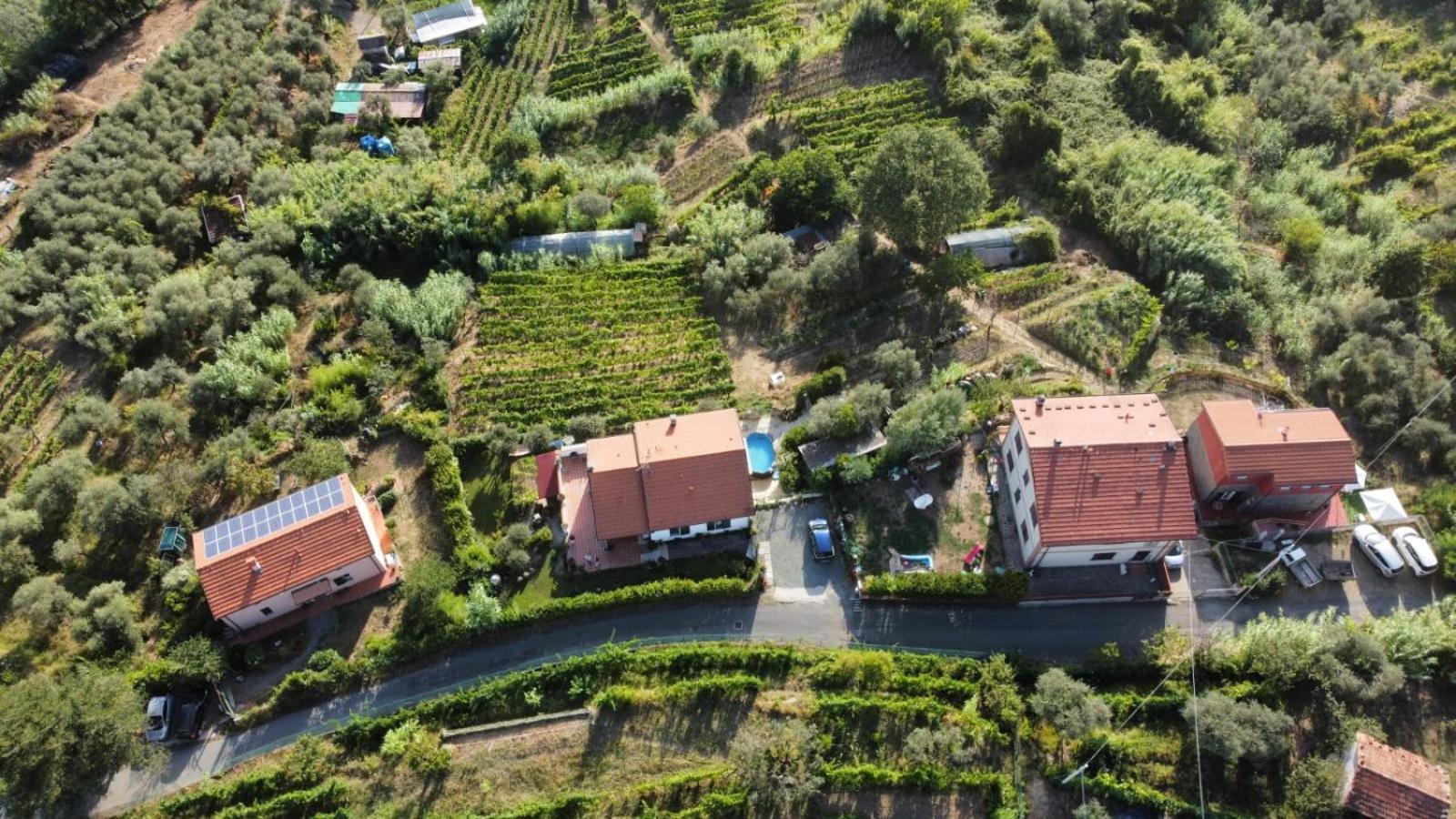 أركولا In Vino Veritas المظهر الخارجي الصورة