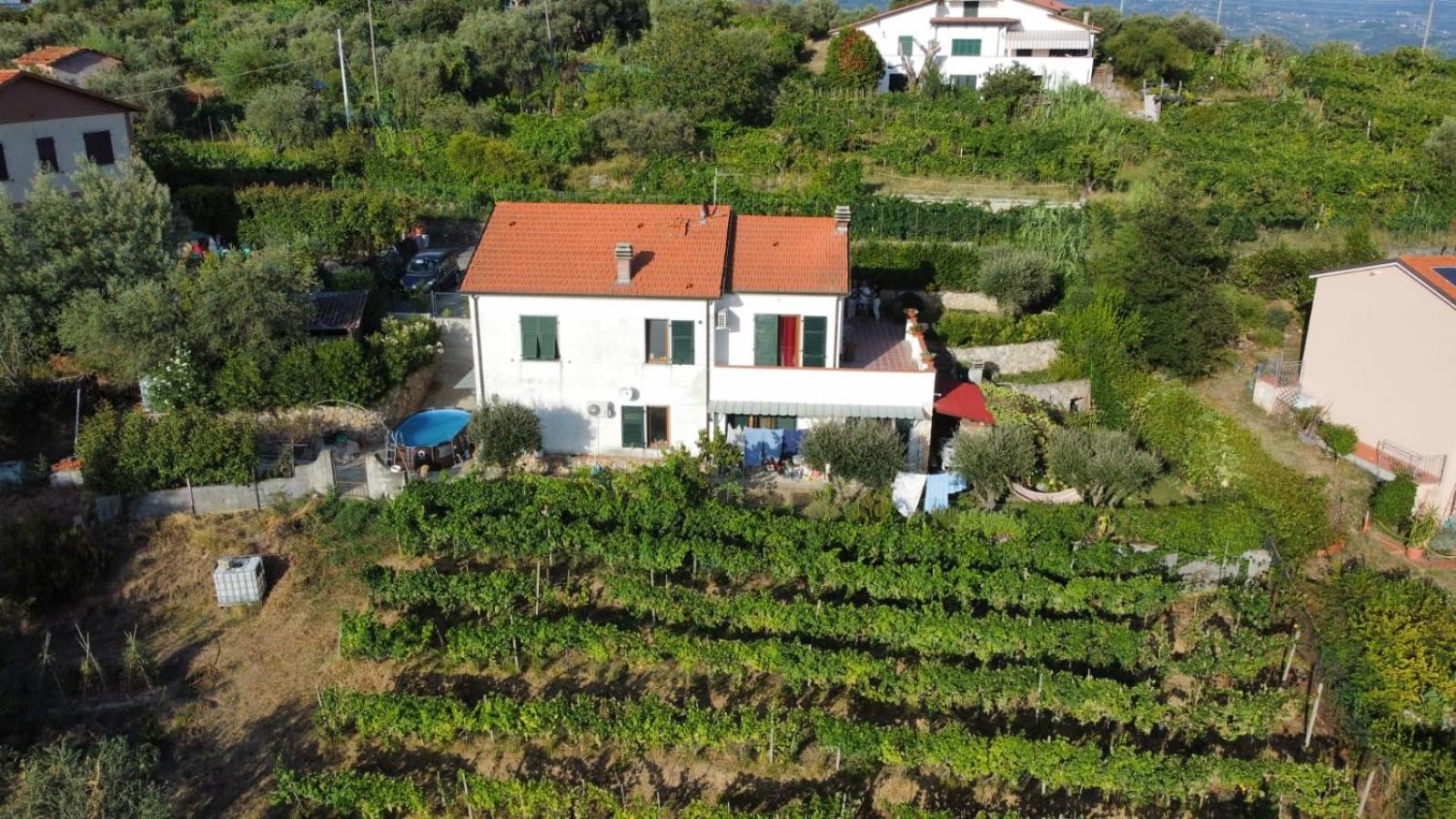 أركولا In Vino Veritas المظهر الخارجي الصورة